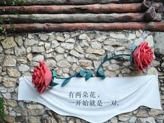 -成都欢乐谷