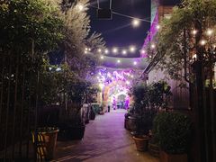 -The Grounds of Alexandria