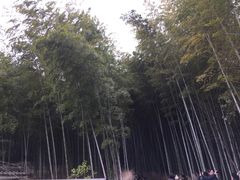-鯛匠 HANANA