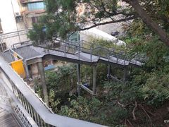 -佛山华盖山公园