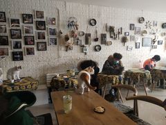 -平行世界·猫咖(首经贸店)