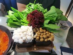 -新辣道鱼火锅(西直门店)