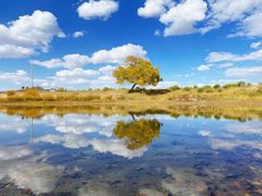 -塞罕坝国家级自然保护区