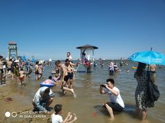 -碧海金沙