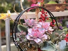 -双季花艺园艺市场(浦东店)