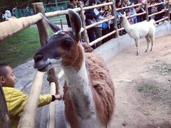 -西安秦岭野生动物园