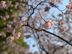 -静安雕塑公园