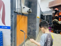 -骑乐马术(广州奥体优托邦中心)