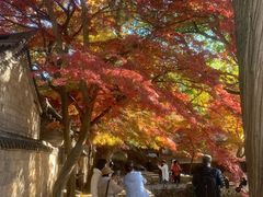 -青岛崂山太清宫