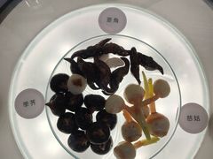 -中国湿地博物馆