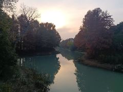 -贡湖湾湿地公园