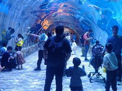 -华夏文旅海洋公园