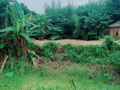 -南昌动物园
