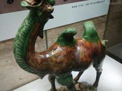 -北京周口店北京人遗址博物馆