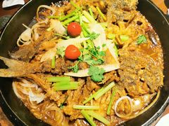 -老板恋上鱼(高新万达店)