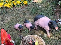 -杭州西湖风景名胜区-钱祠表忠