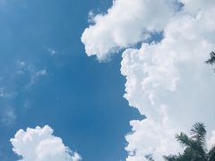-水围村