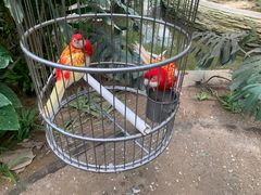 -南宫五洲植物乐园