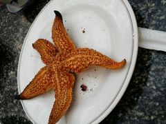 android_upload_pic-江宁会馆(劈柴院店)