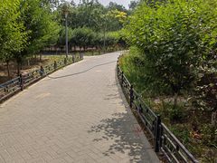 -大兴滨河森林公园