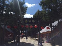 -塞罕坝国家级自然保护区