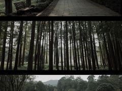 -杭州植物园