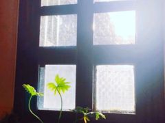 -二楼南书房
