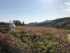 -清远熹乐谷温泉度假酒店