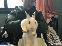-藦茜花园宠物主题亲子互动体验馆(国顺东路店)