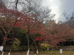 -南山风景名胜区