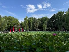 -四川大学(望江校区)