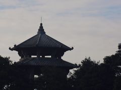 -梧桐山风景名胜区