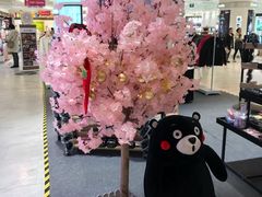 -梅龙镇广场