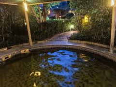 -喜运来大酒店温泉