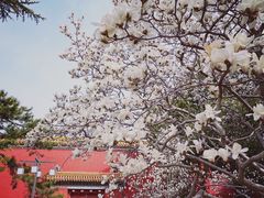 -北京市劳动人民文化宫(太庙)