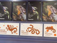 -帕帕拉兹宠物(亚洲旗舰店)