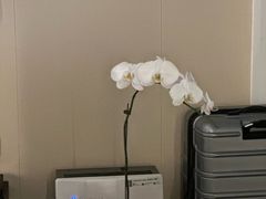 -上海璞麗酒店