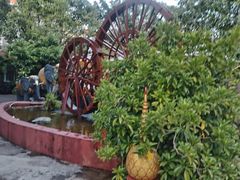 -品德宏·孔雀宴的发源地(金塔园店)