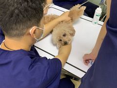 -爱侣宠医·鹦鹉专科·小型哺乳类·异宠专科(灵石路店)