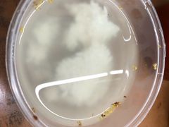 桂花甜酒酿-清真蒋有记(老门东店)