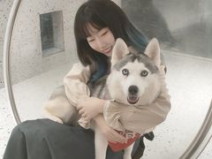 -Husky Go!哈士奇体验馆·宠物咖啡厅狗咖