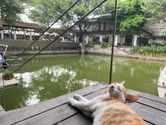 -喜洲吧·江畔老船厂·庭院餐厅(喜临院店)
