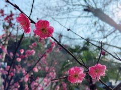 -龟山风景区-龟山电视塔