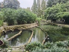 -成都市活水公园