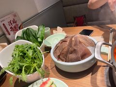 -掂档潮汕牛肉火锅(沈阳万象城店)