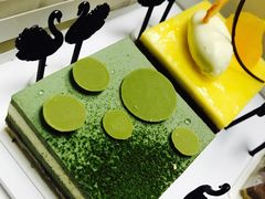 -BLACKSWAN黑天鹅(环球店)