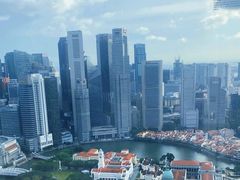 -新加坡瑞士史丹福酒店