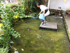 -大理老字号·舟渔的鱼野生菌海景餐厅(双廊店)