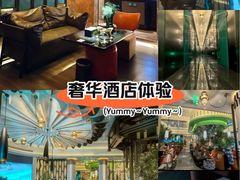 -索拉古贝(义乌北苑店)