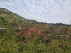 -木兰云雾山